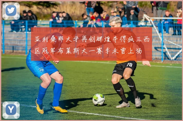 亚利桑那大学再创辉煌夺得疯三西区冠军布莱斯大一赛季未曾上场